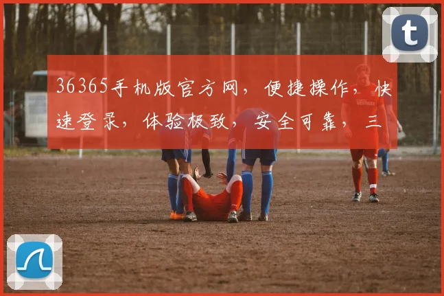 36365手机版官方网，便捷操作，快速登录，体验极致，安全可靠，三重保障，必看攻略