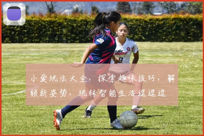 小爱玩法大全，探索趣味技巧，解锁新姿势，玩转智能生活逗逗逗